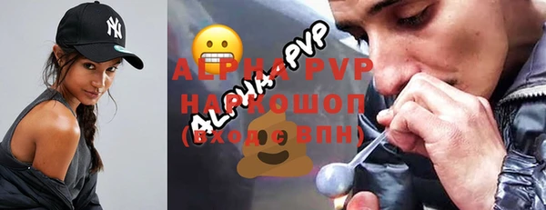 индика Нязепетровск