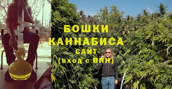 индика Нязепетровск