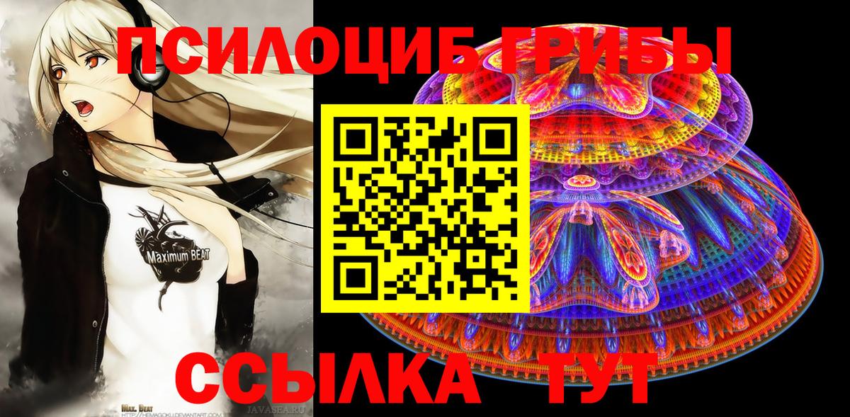 что такое   Касимов  Галлюциногенные грибы Magic Shrooms 