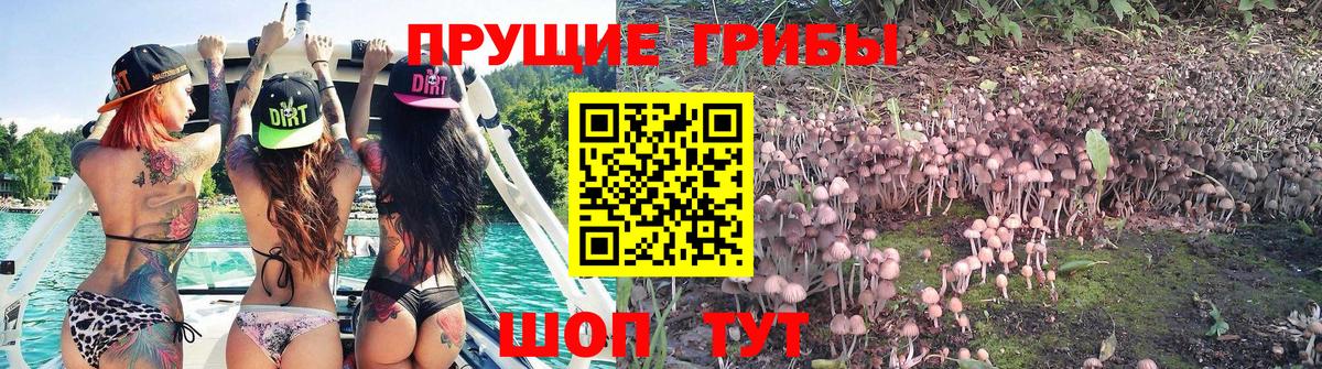 Псилоцибиновые грибы Magic Shrooms Касимов